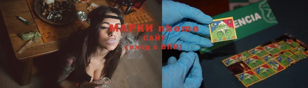дмт Алзамай