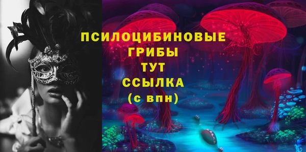 спайс Арсеньев