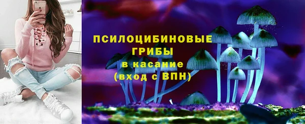 винт Армянск